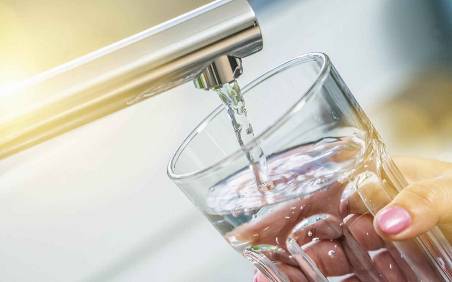 Bakteriofagi wykazują dużą skuteczność w walce z bakteriami patogennymi.